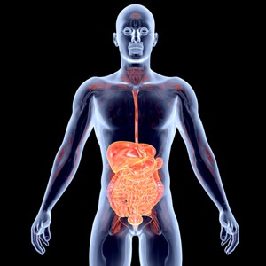 How Aging Affects Digestive Health